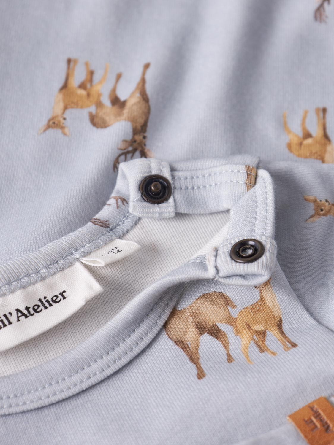 model_shot-front_full